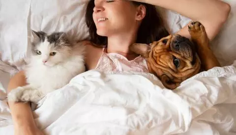 Is it a good idea to sleep with my pet?